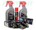 Arexon SPLENDID Arexons Reinigungs-und Wartungs-Kit für Motorrad Chrome Reiniger Wipes und Mini Fett Tradurre