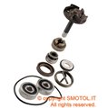 Rms Kit revisione pompa acqua per BEVERLY 250 RST 04/05