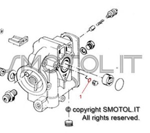 Anello O-RING per gruppo pompa olio APE 703 TM Diesel