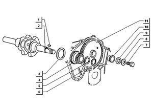 Tav  9 - Albero motore-ingranaggio motore
