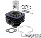 Gruppo termico d.40 50 cc ad aria per scooter PIAGGIO GILERA